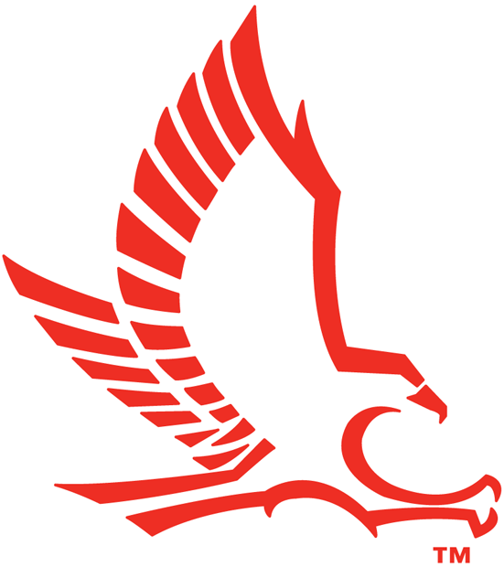 Hartford Hawks 1984-Pres Secondary Logo t shirts iron on transfers